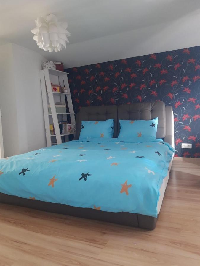 Apartament 3 Camere Римніку-Вилча Екстер'єр фото
